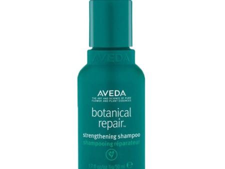 Aveda Botanical Repair Shampoo on Sale